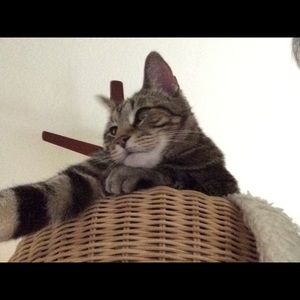 Meet your Posher, Maria